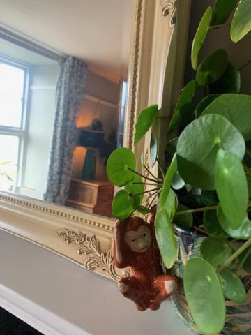 Dolgellau Townhouse 2 Minutes To Town & Mountains Villa Luaran gambar